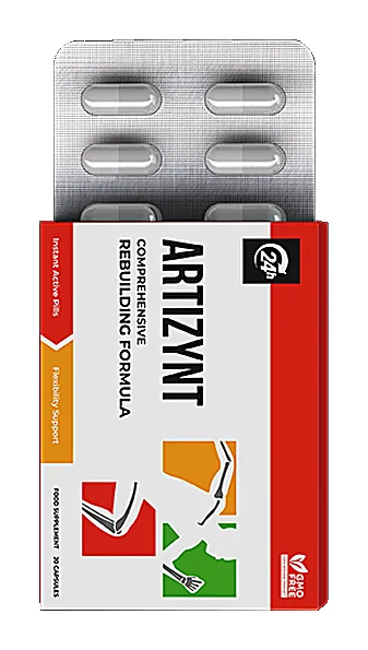 ArtiZynt